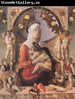 Marco Zoppo The Virgin and Child Surrounded by Eight Angels (mk05)